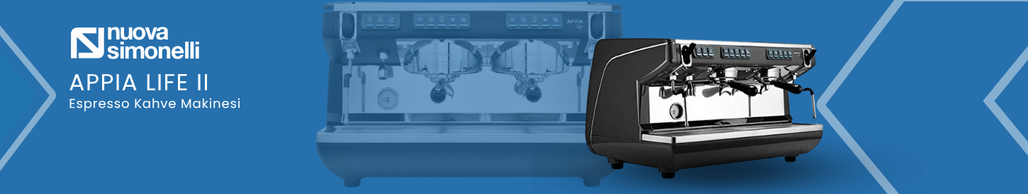 02simonelli.png (214 KB)